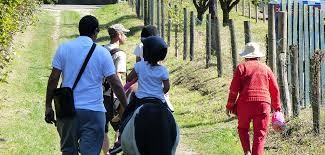 Balade en main à poney en famille