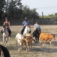 Cavaliers lors d’une randonnée western